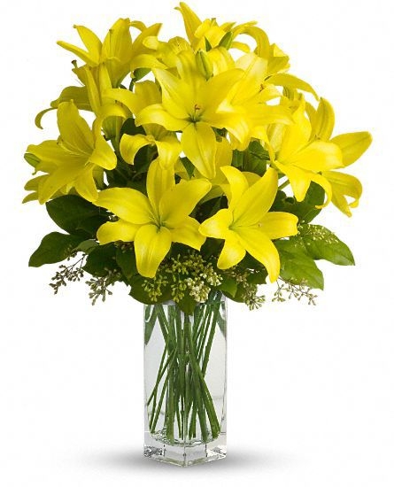 Lilies: The Perfect Pure Gift Flower - Central Square Florist - Central