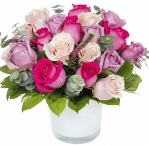 Modern Pink and Purple Roses
