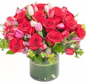bouquet features fragrant crimson roses for romance, and delicate pink tulips to signify friendship and devotion. Accented with a big pink bow, this magnificent floral gift will create a sensation. Approximately 14" (W) x 13" (H)
