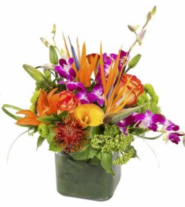 The orange lilies, purple orchids & birds of paradise put out warm tropical vibes as this arrangement will brighten up any room