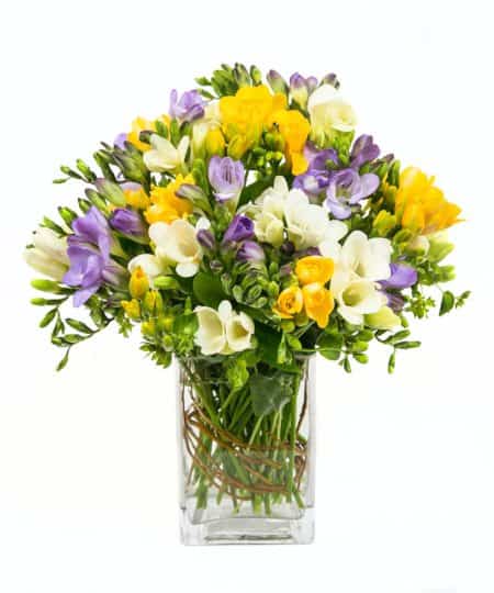 Mixed colored freesia arranged in a vase. The aroma is just breathtaking! Exact colors may vary.