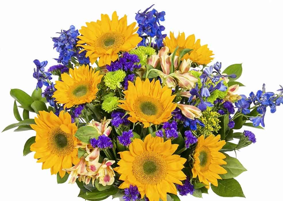 Flower ID Apps Worth Downloading LaptrinhX / News