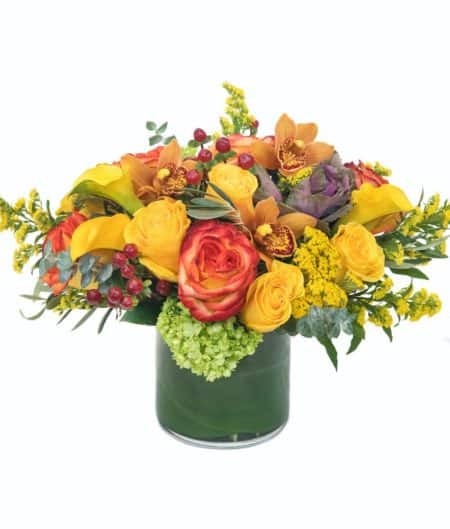 Capturing the majestic beauty of the changing seasons, this beautiful compact design features roses in red and orange along with red and green hypericum and green hydrangeas – skillfully designed in a cylinder vase with curly willow tips and leaves. Approx. 10”h x 10”w