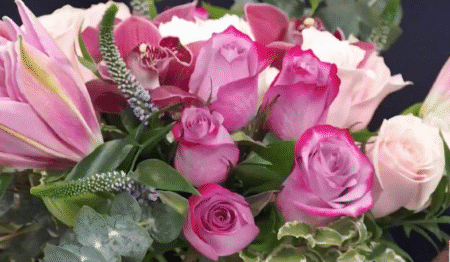 Pink flowers closeup